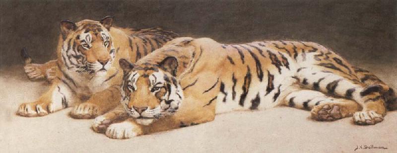 John Charles Dollman Two Wild Tigers oil painting image